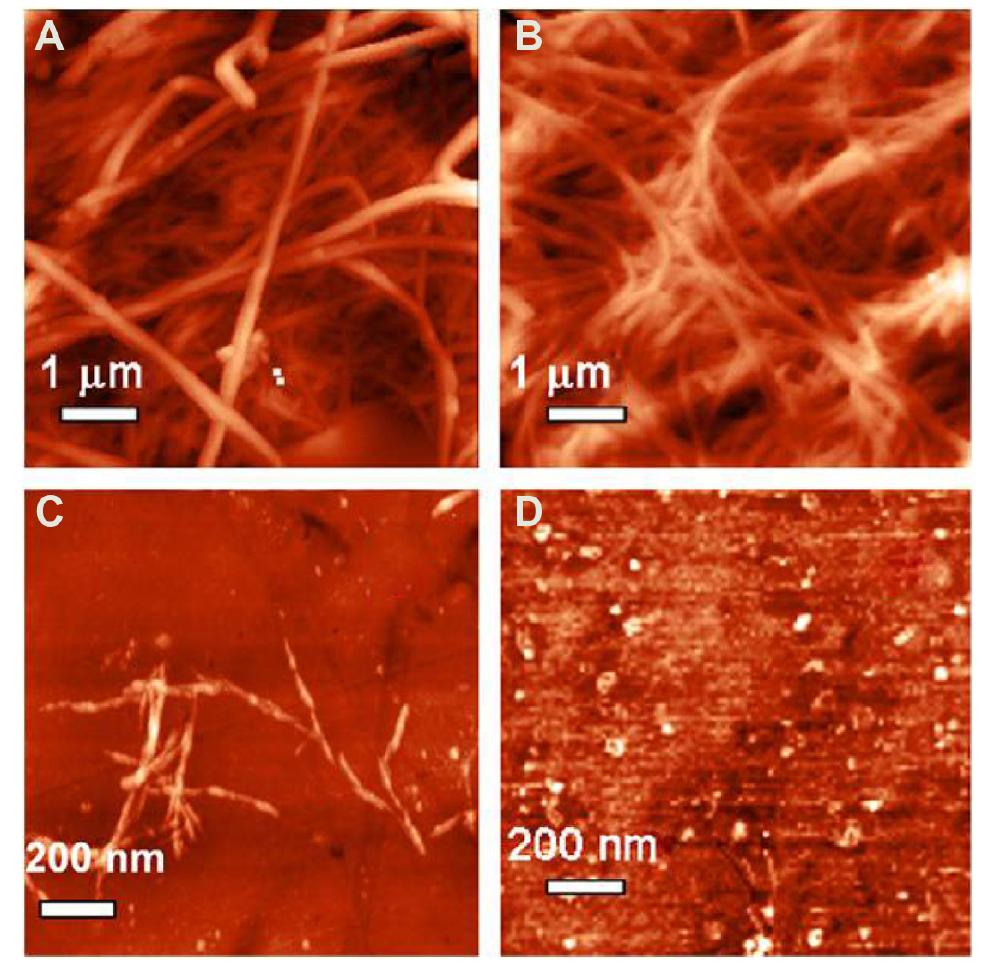 (PDF) Cellulose nanocrystals: synthesis, functional properties, and ...