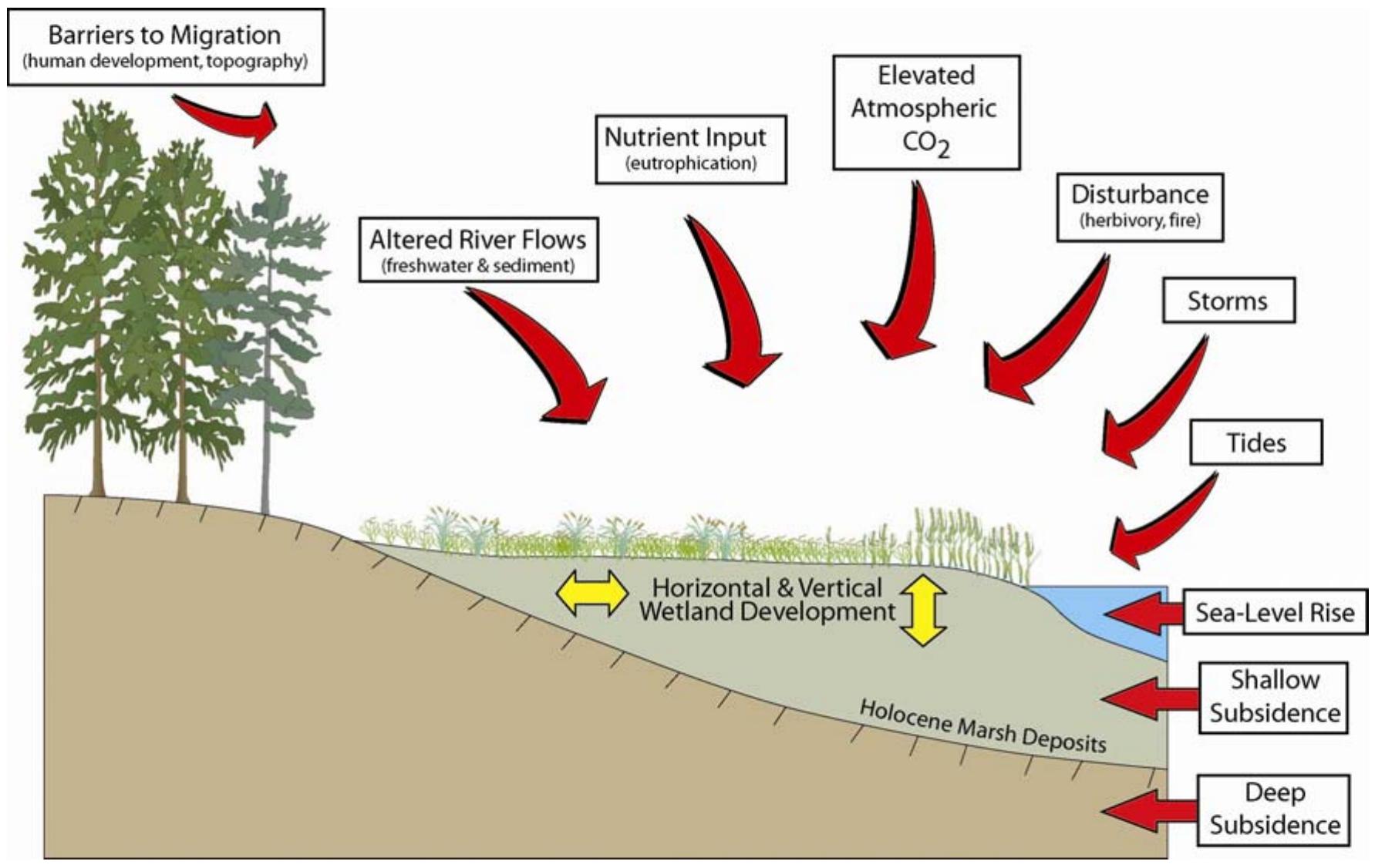 (PDF) Part I Overview. The Physical Environment
