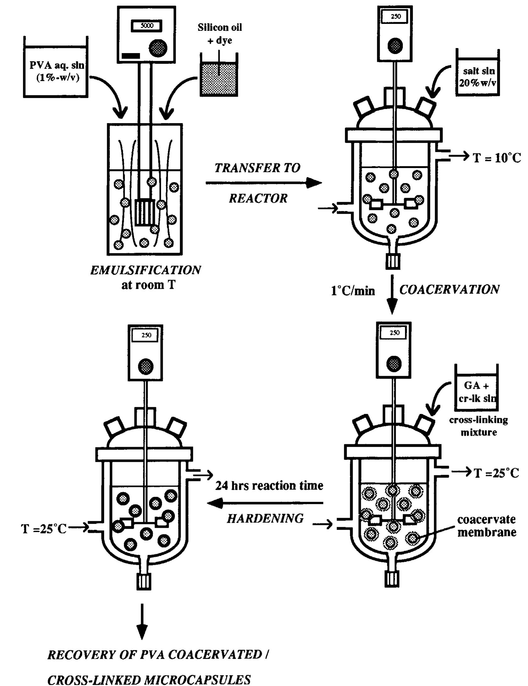 Schematic representation of the various stages of the