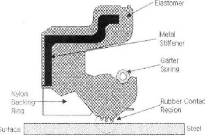 Schematic of lip seal cross section the problem steady the