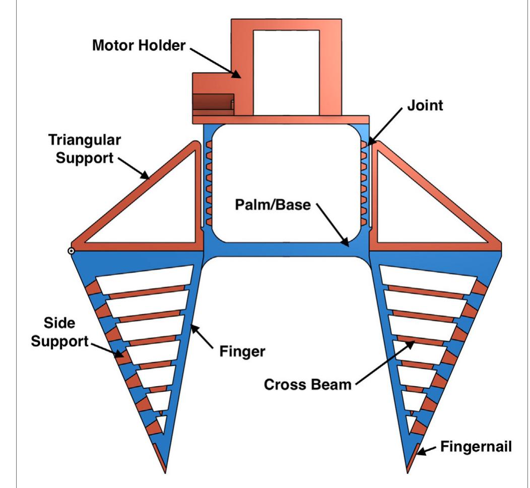 Figure 3 - from Fin Ray® Effect Inspired Soft Robotic