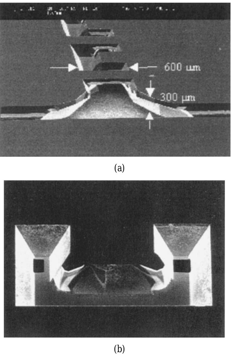 Sem Inlet (top) schematic of the three-dimensional serpentine channel.