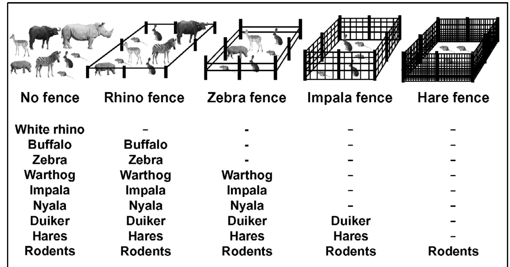 (PDF) Effects of large herbivores on murid rodents in a South African ...