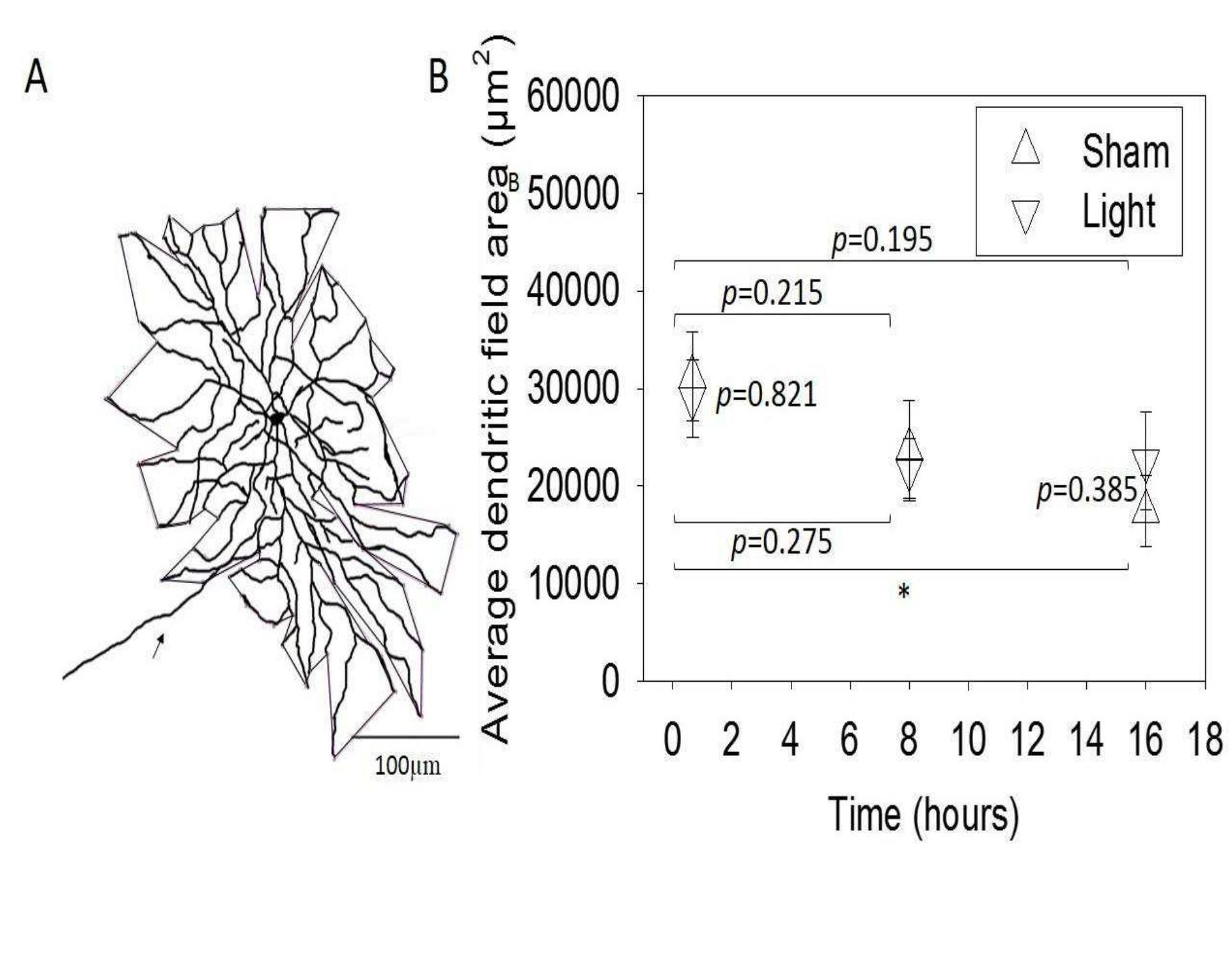 (PDF) Red Light Treatment in an Axotomy Model of Neurodegeneration