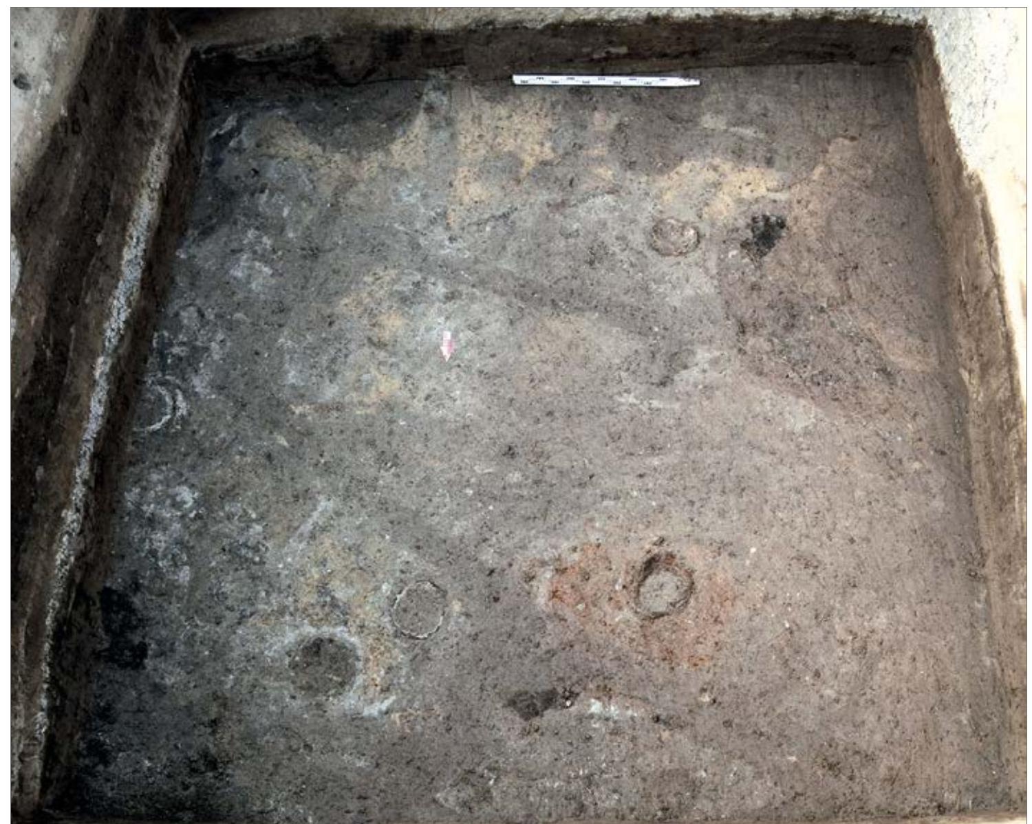 Trench Structure Trench s3s. structures of the lower egyptian culture