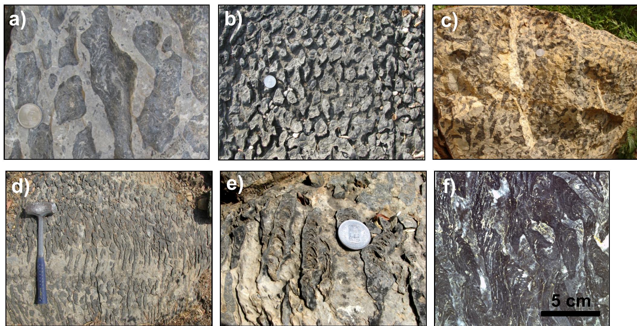Images of columnar and columnar branching stromatolitic