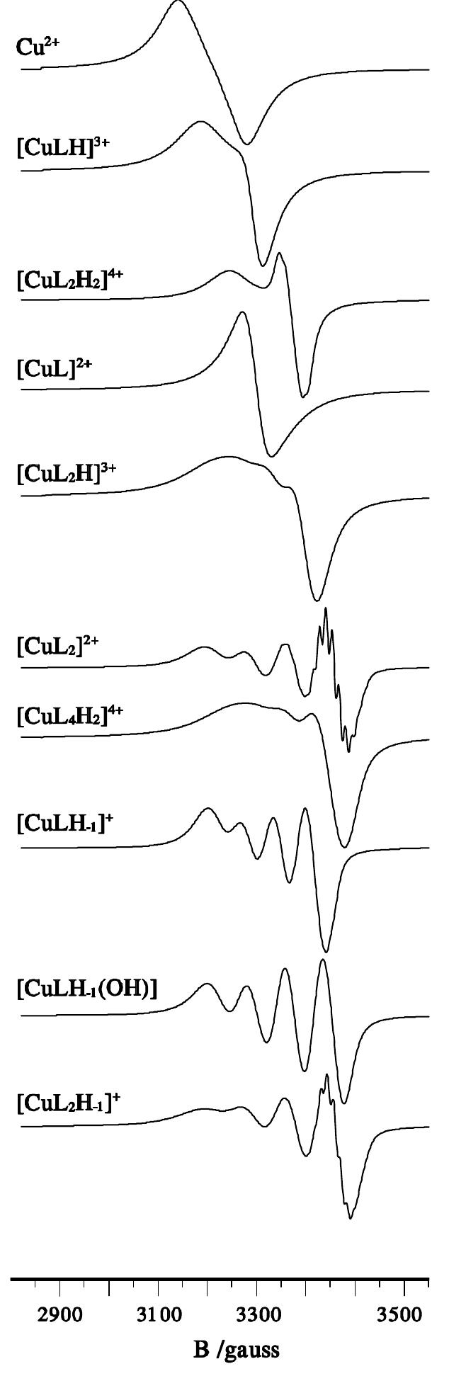 Calculated epr spectra of the various complexes formed in