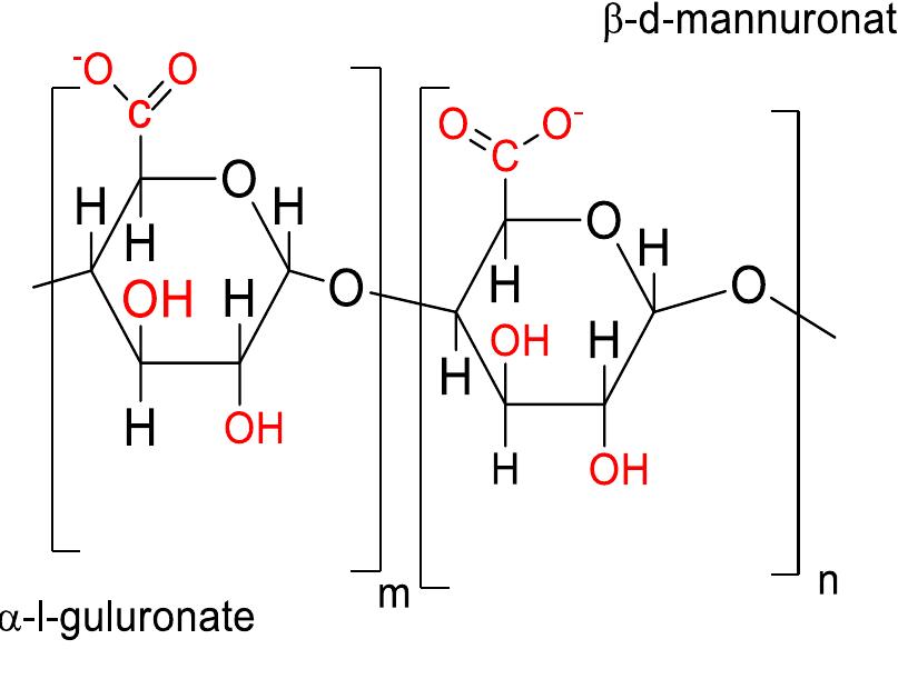 Chemical structure of alginate polymer
