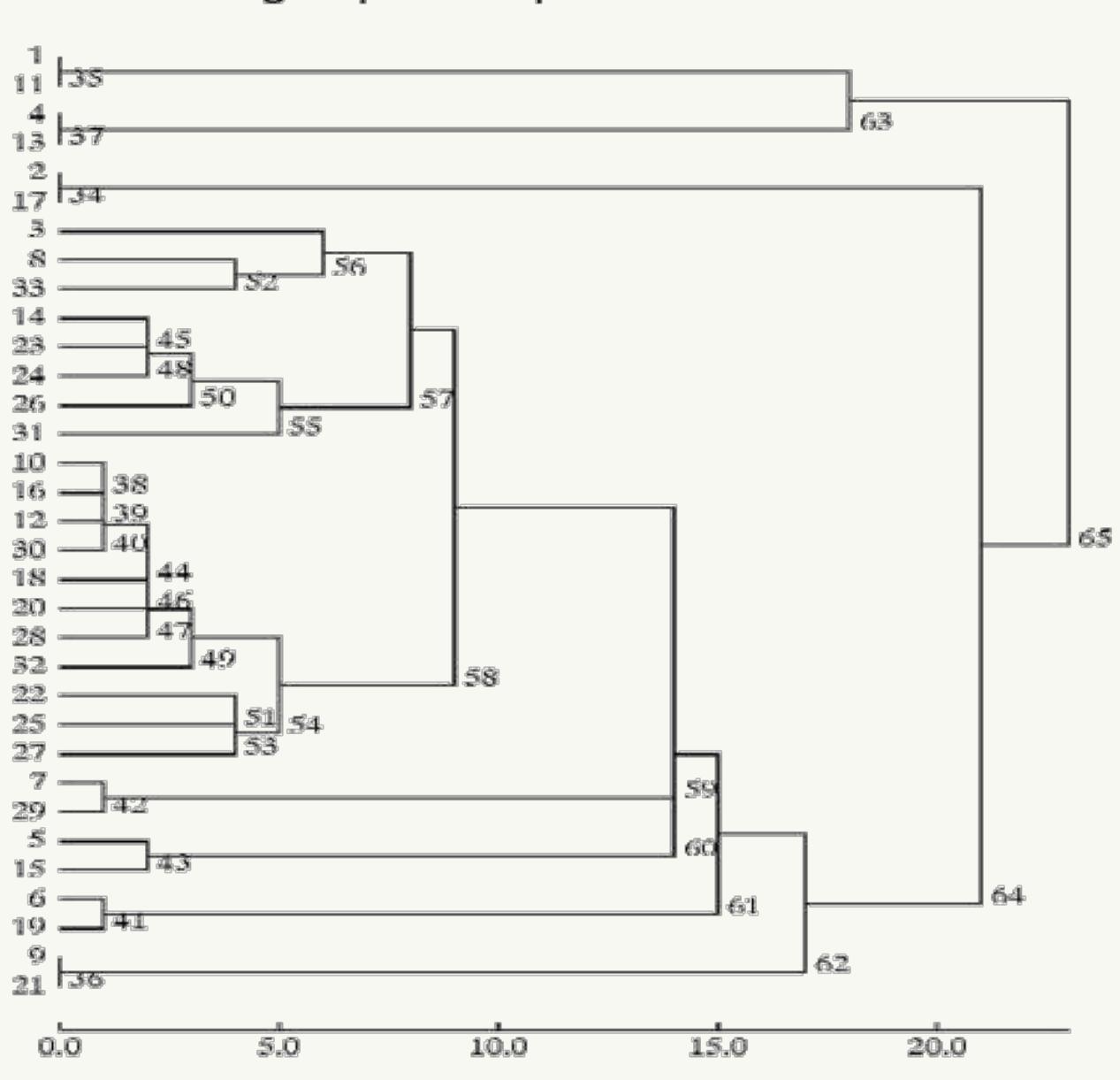 Diagram 4: dendrogram of subjects (personal values)