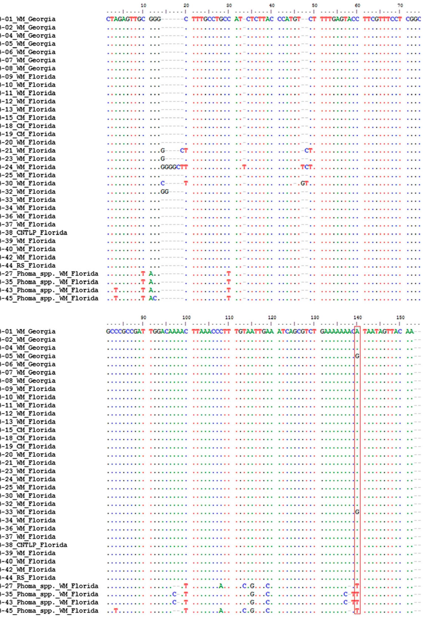 Multiple sequence alignment of the internal transcribed