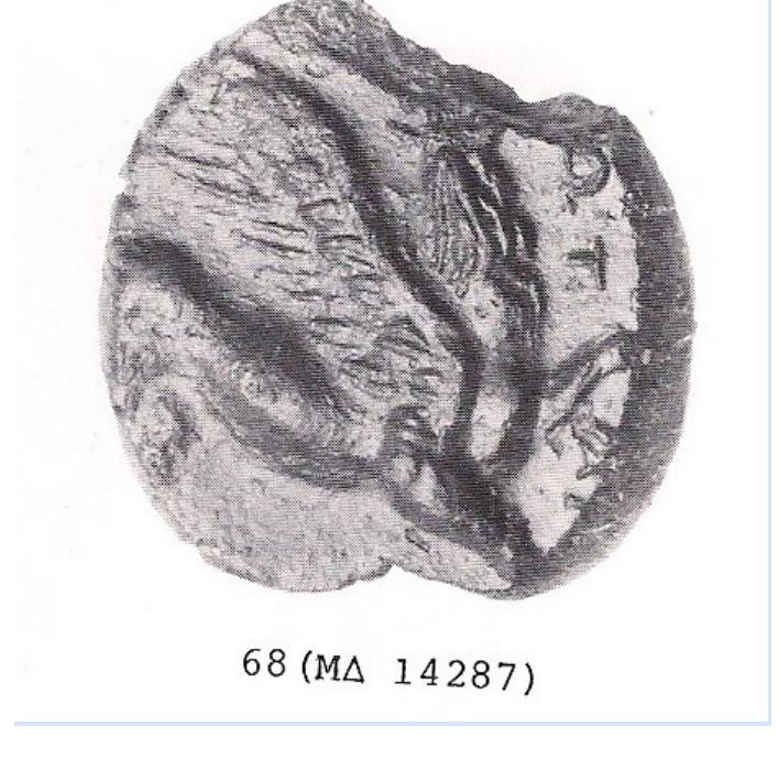 MA 14287: Clay black-brown 0,014 X 0,015m From a oval(?), flat seal with deep engraving 