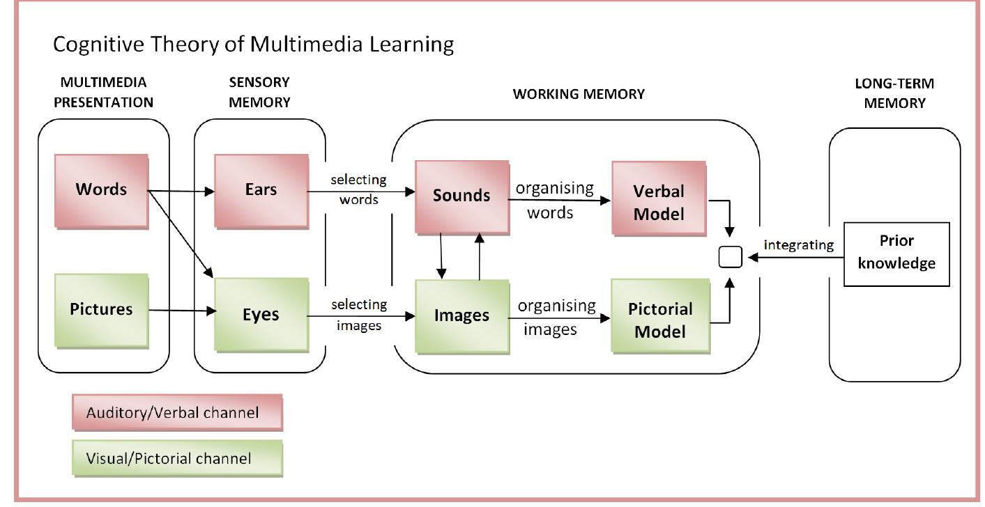 Figure 1 - from The Dual-Coding and Multimedia Learning