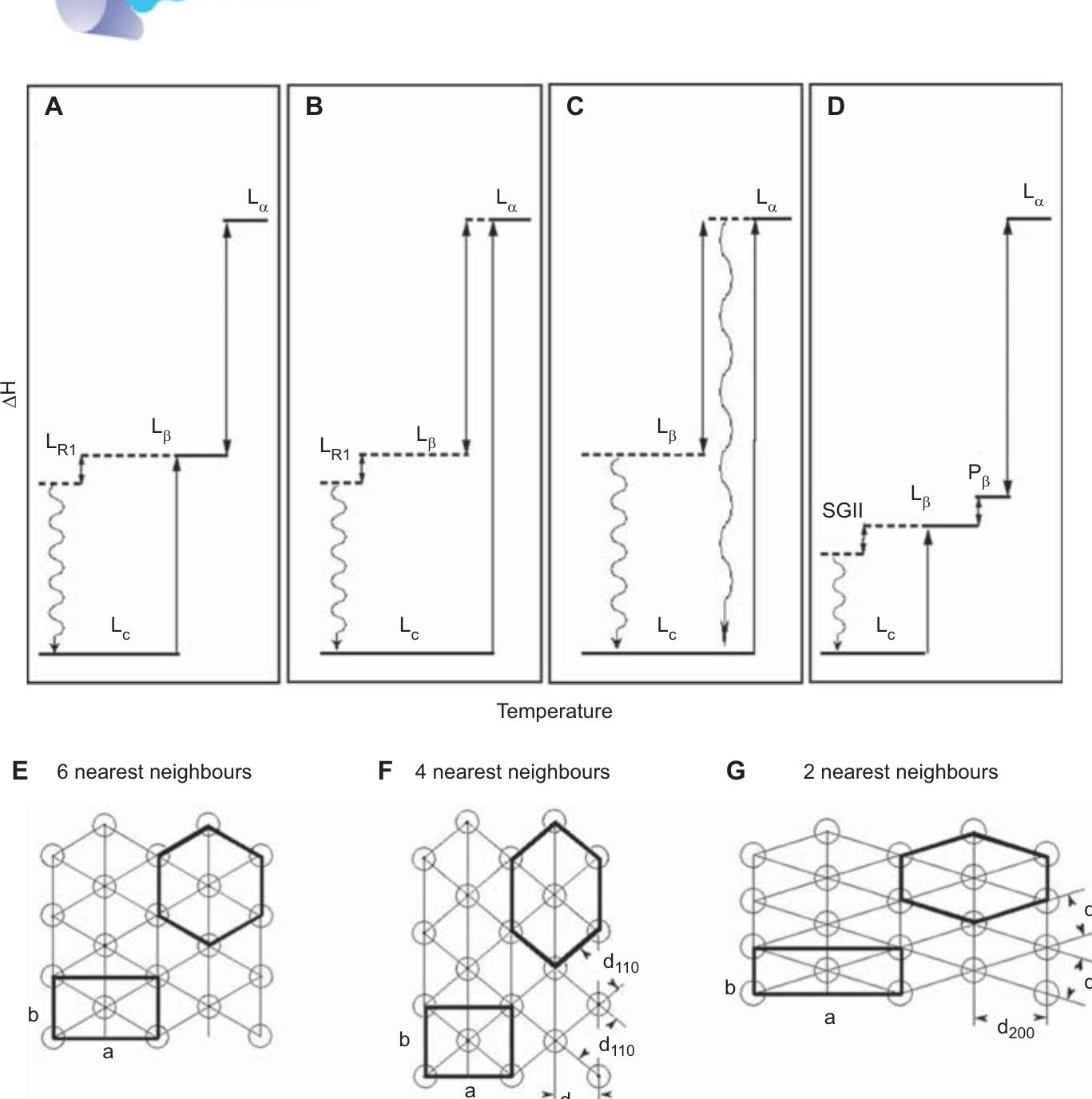 Pes Hexagonal Figure 1 - from Transitions between lamellar and nonlamellar