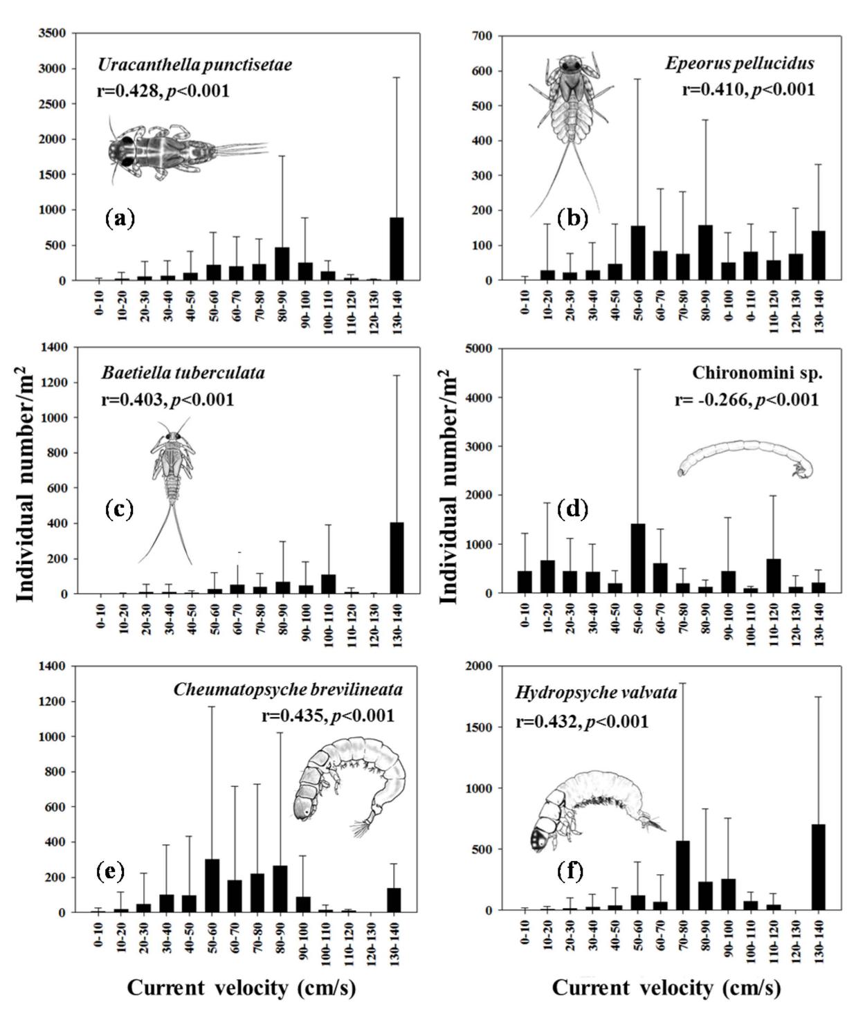 (PDF) Spatial Distribution of Benthic Macroinvertebrate Assemblages in ...