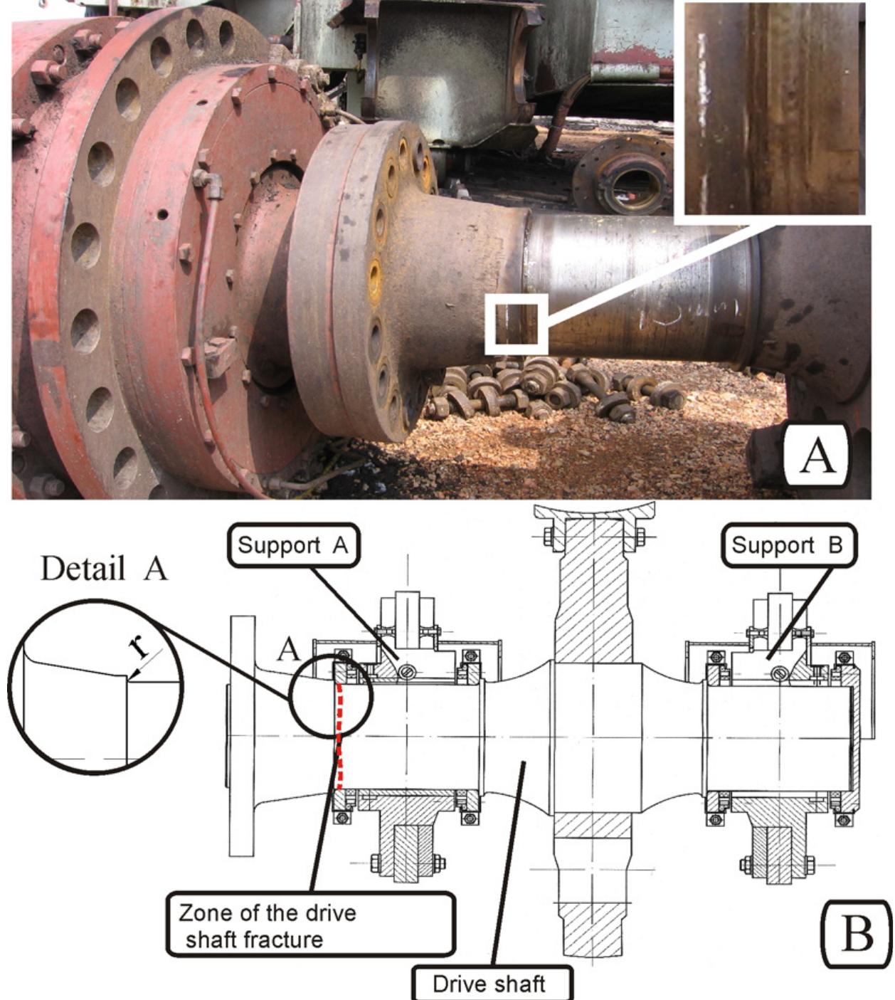 Model of the drive shaft with the zones of support (a and b)