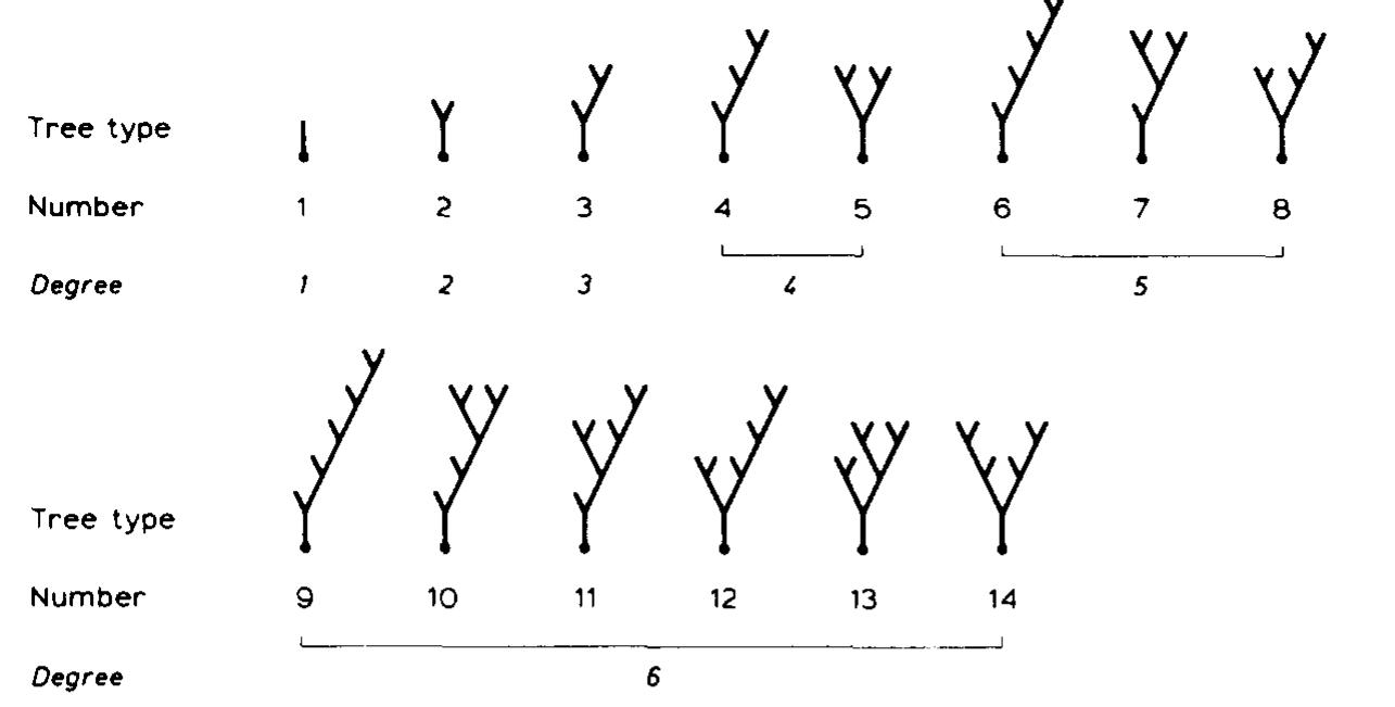 The first 14 types of neuronal (3-d) branching patterns as