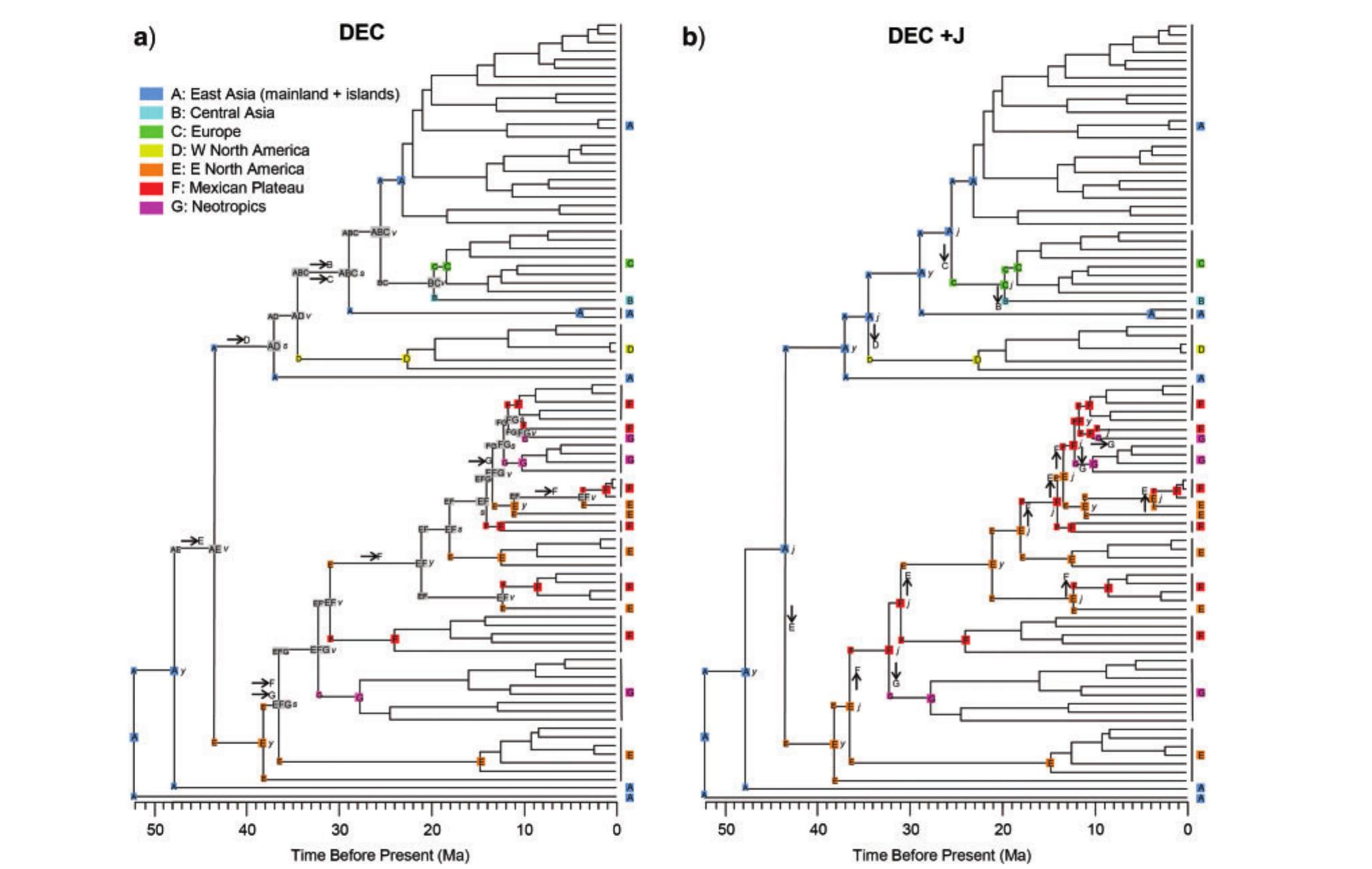 (PDF) Spatiotemporal Diversification of the True Frogs (Genus Rana): A ...