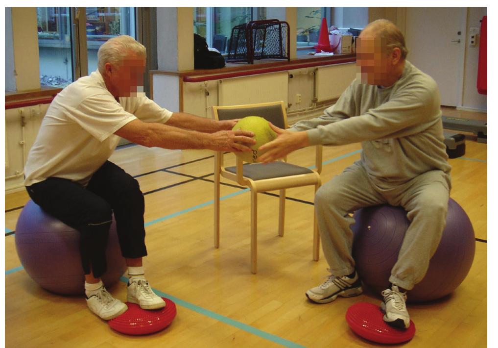 (PDF) Balance training with multi-task exercises improves fall-related ...