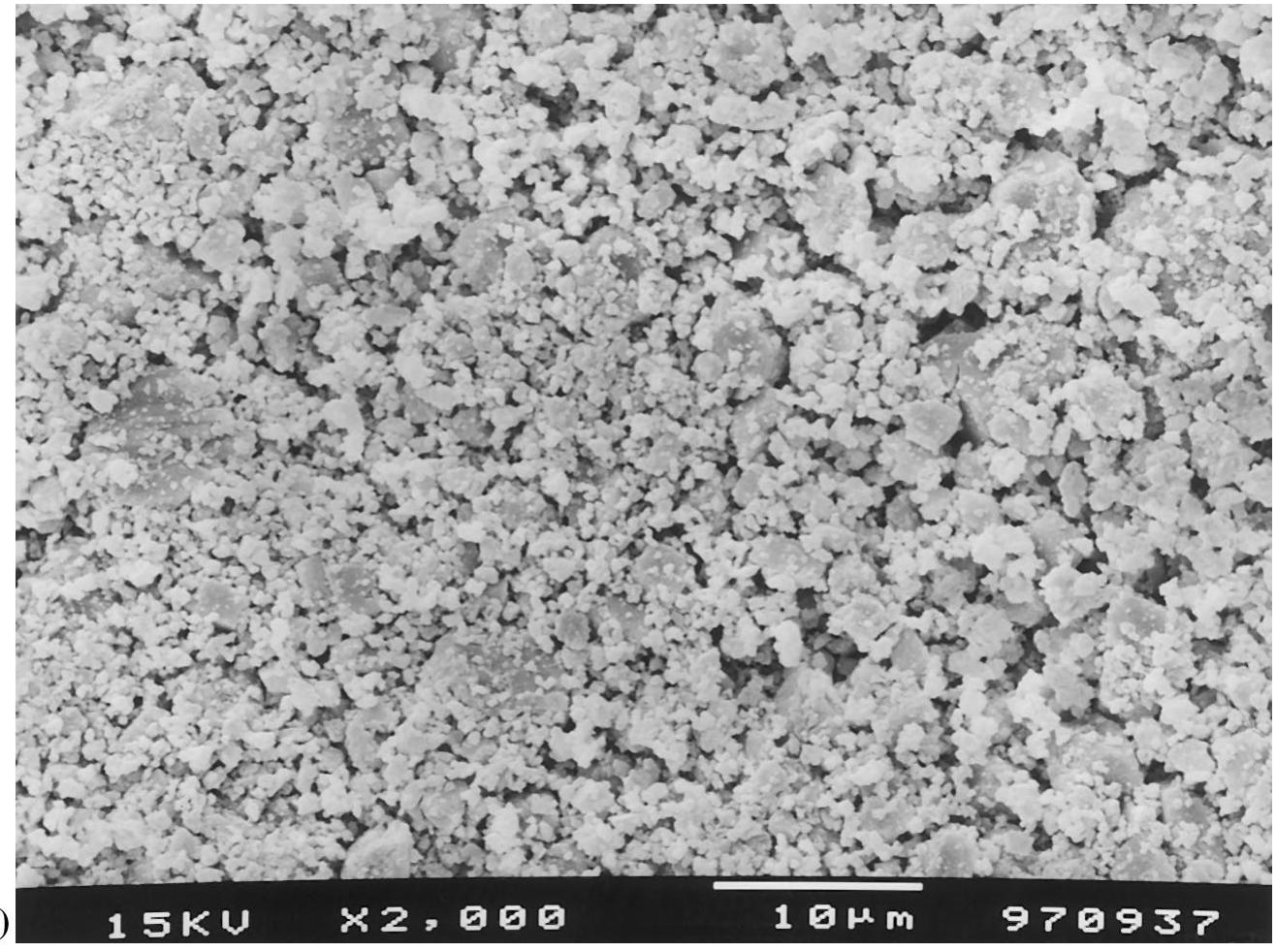 Monohydrate Form Figure 2 - from The effects of disordered structure on the