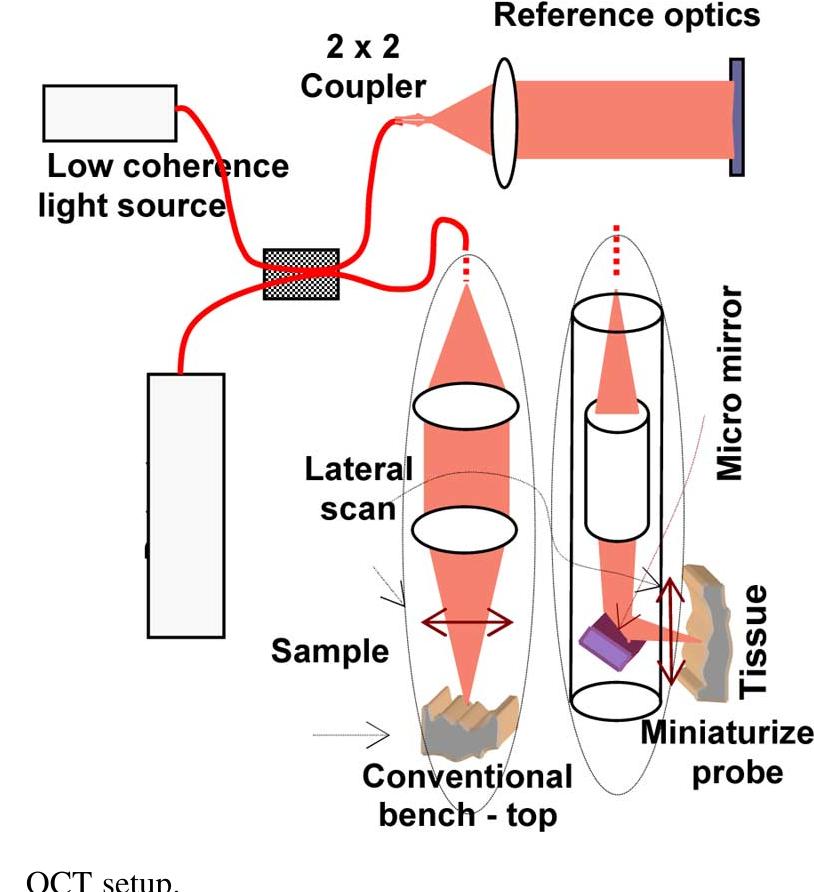 Quird Optical simulation to study the beam size and coupling