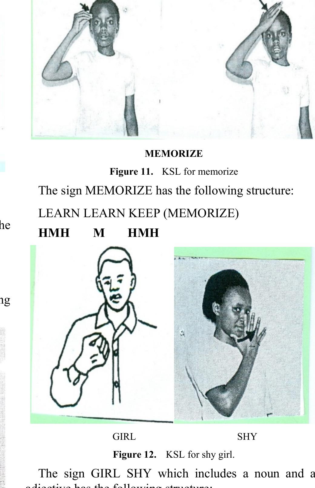 In all the examples above, the standard sign is made up of