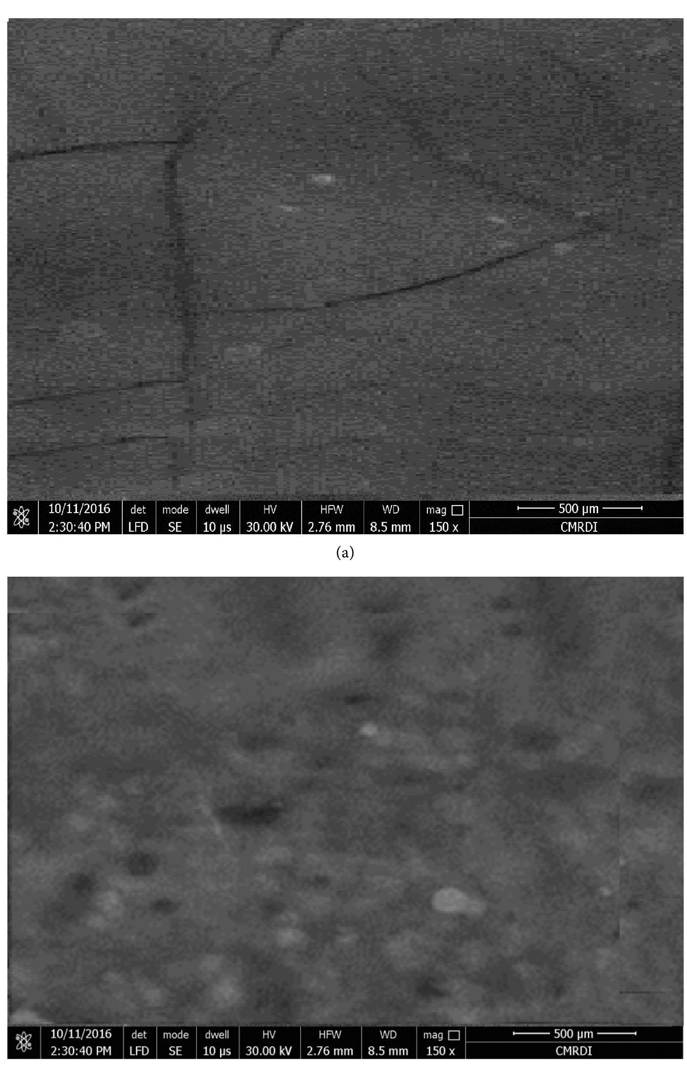 Sem images of al (a) before and (b) after sealing process.