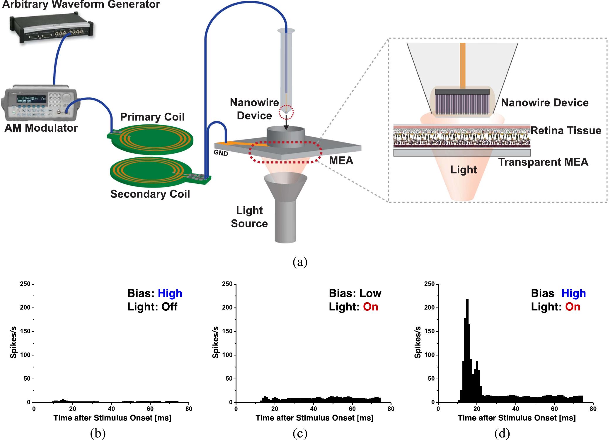(PDF) Towards high-resolution retinal prostheses with direct optical ...