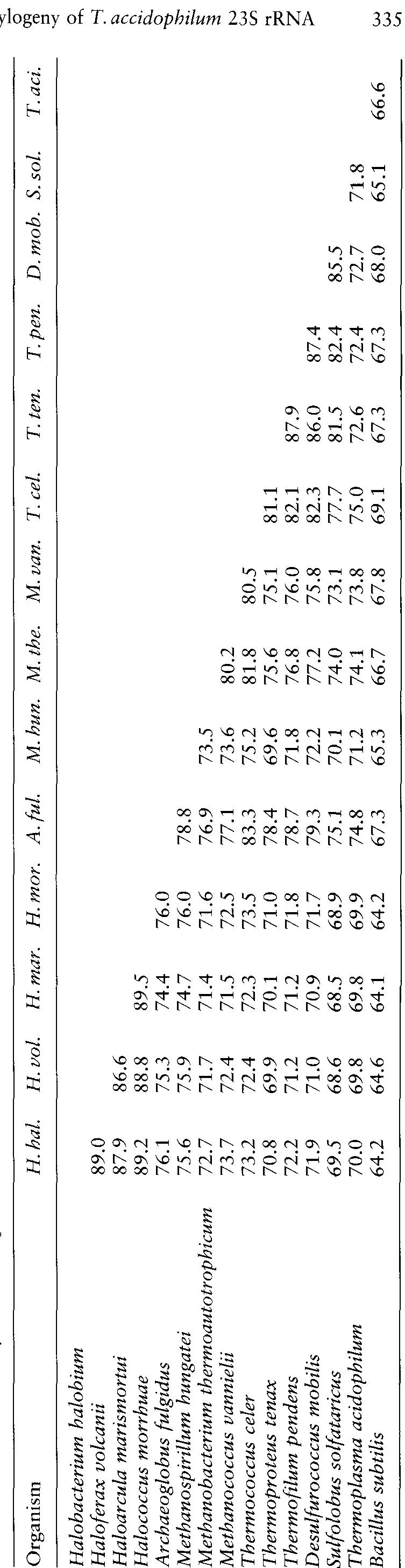 Table 1 - The Primary and Secondary Structures of the 23S