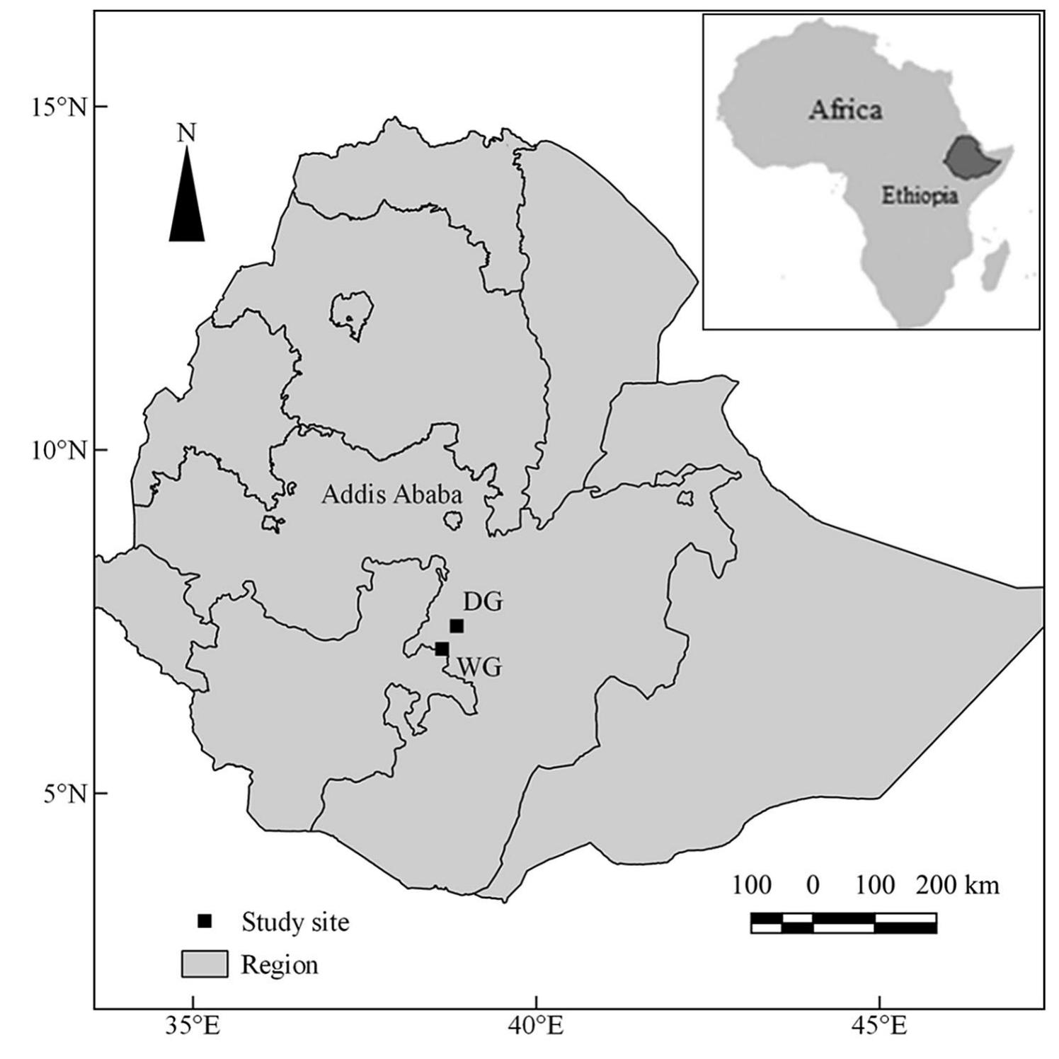 (PDF) Modelling and quantifying tree biometric properties of dry ...