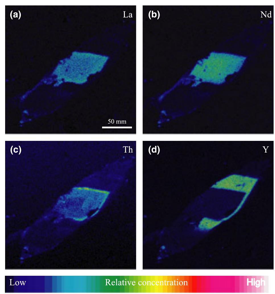 X-ray maps of allanite shown in fig. 5h (lower amphibolite