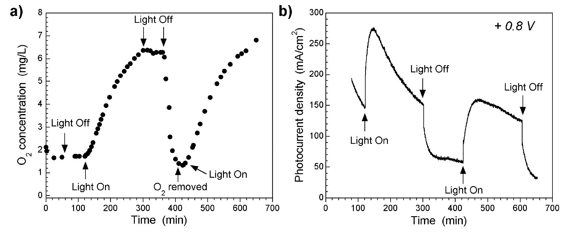 the carbon (CONS-I) photoanode upon on/off illumination for long term at +0.8 V vs Ag/AgCl. 