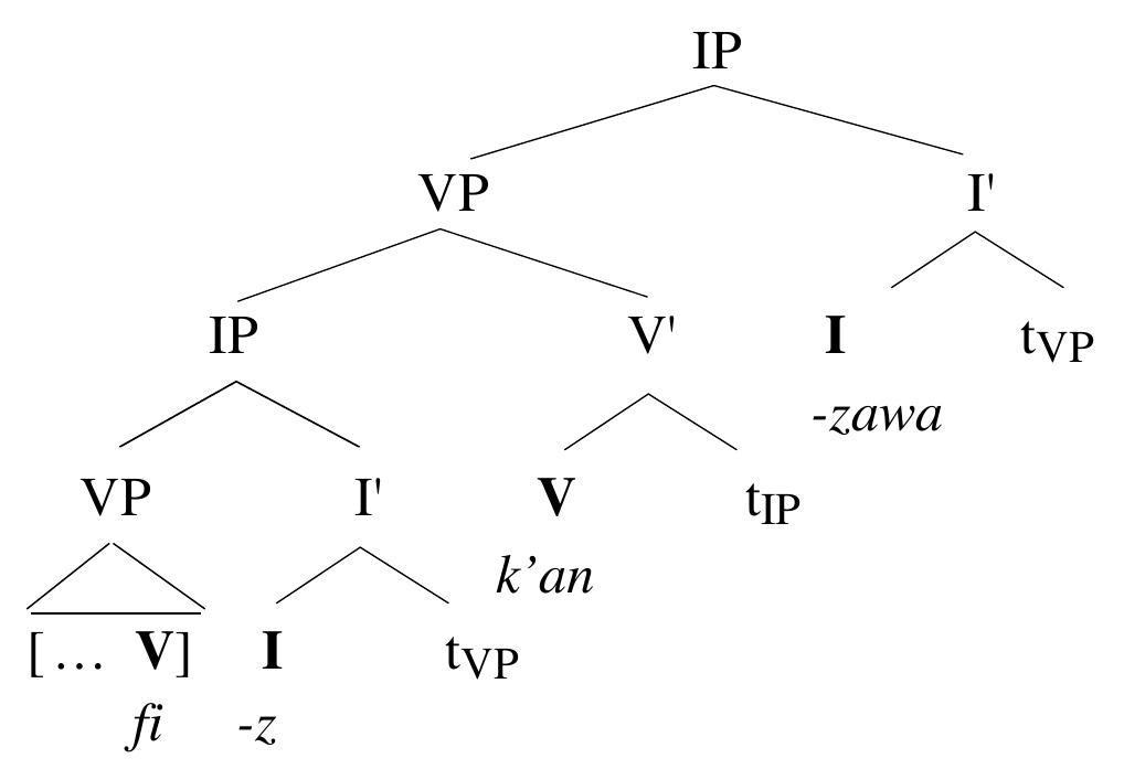 (PDF) Word order type and syntactic structure