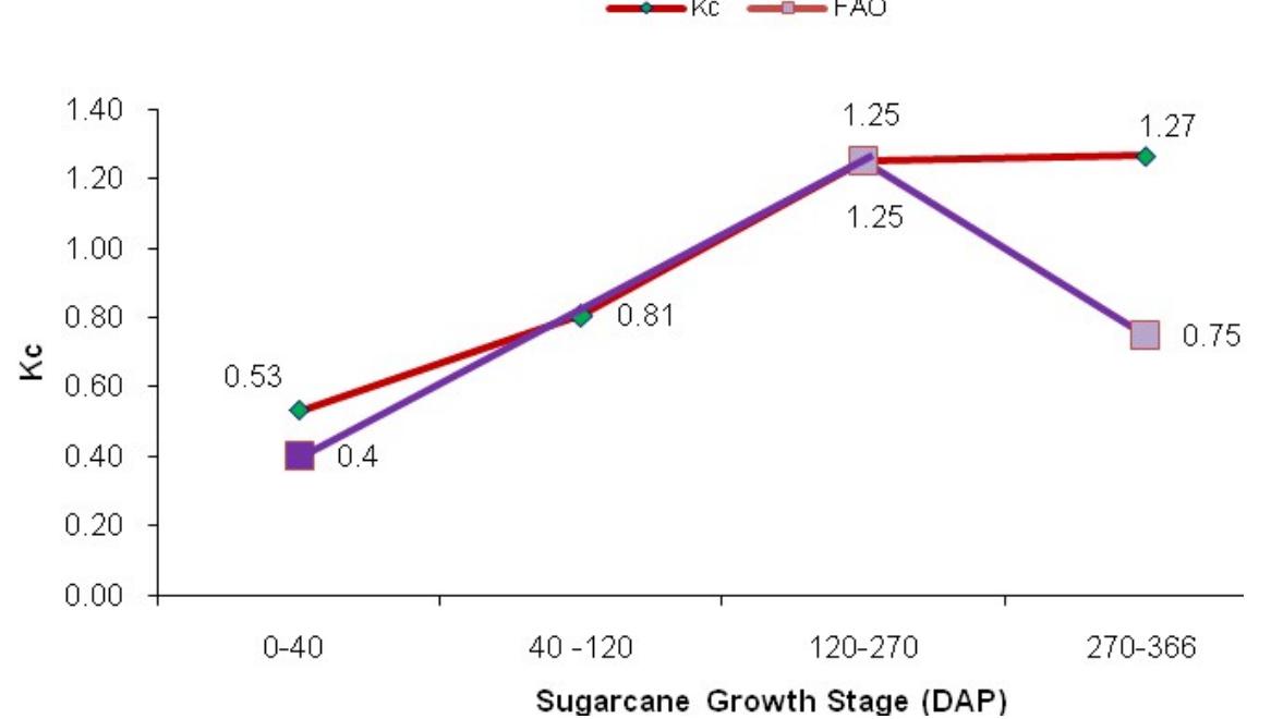 (PDF) Determination of the Water Requirement and Kc Values of Sugarcane ...