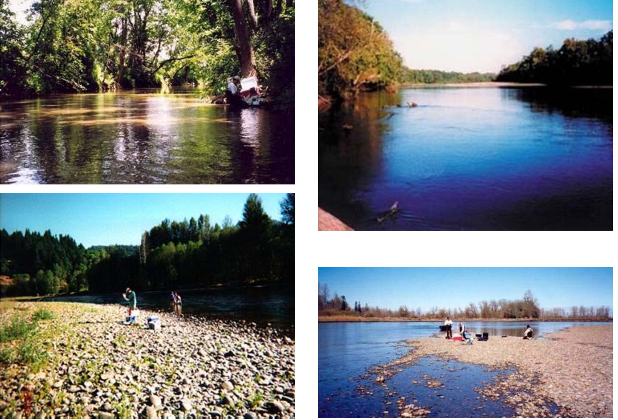 (PDF) The Evolution of Pulp and Paper Mill Effluent Effects Knowledge ...