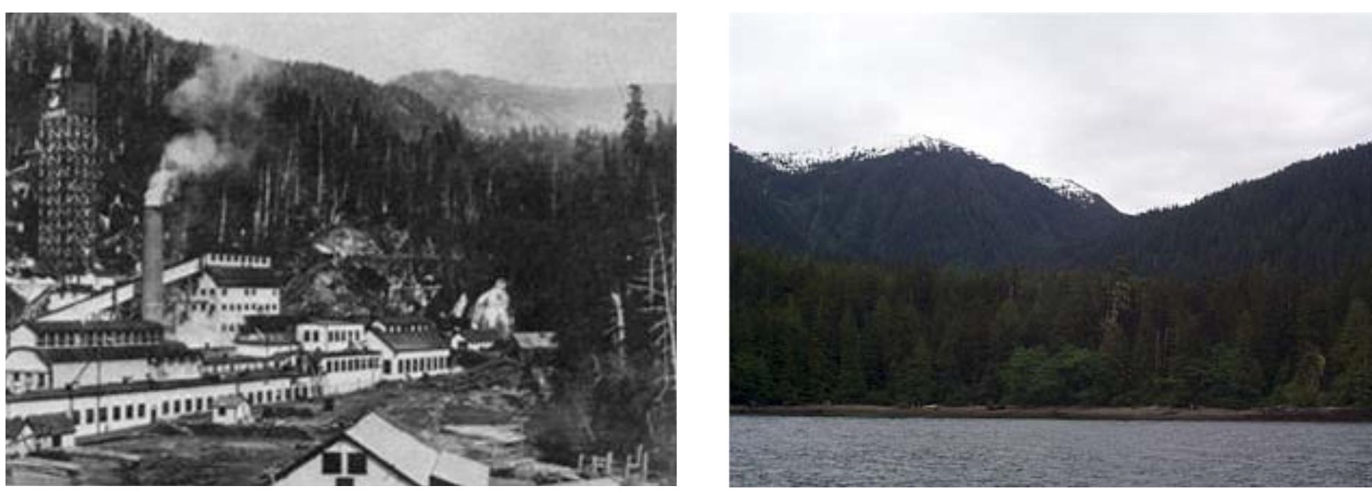 Figure 8 - from The Evolution of Pulp and Paper Mill
