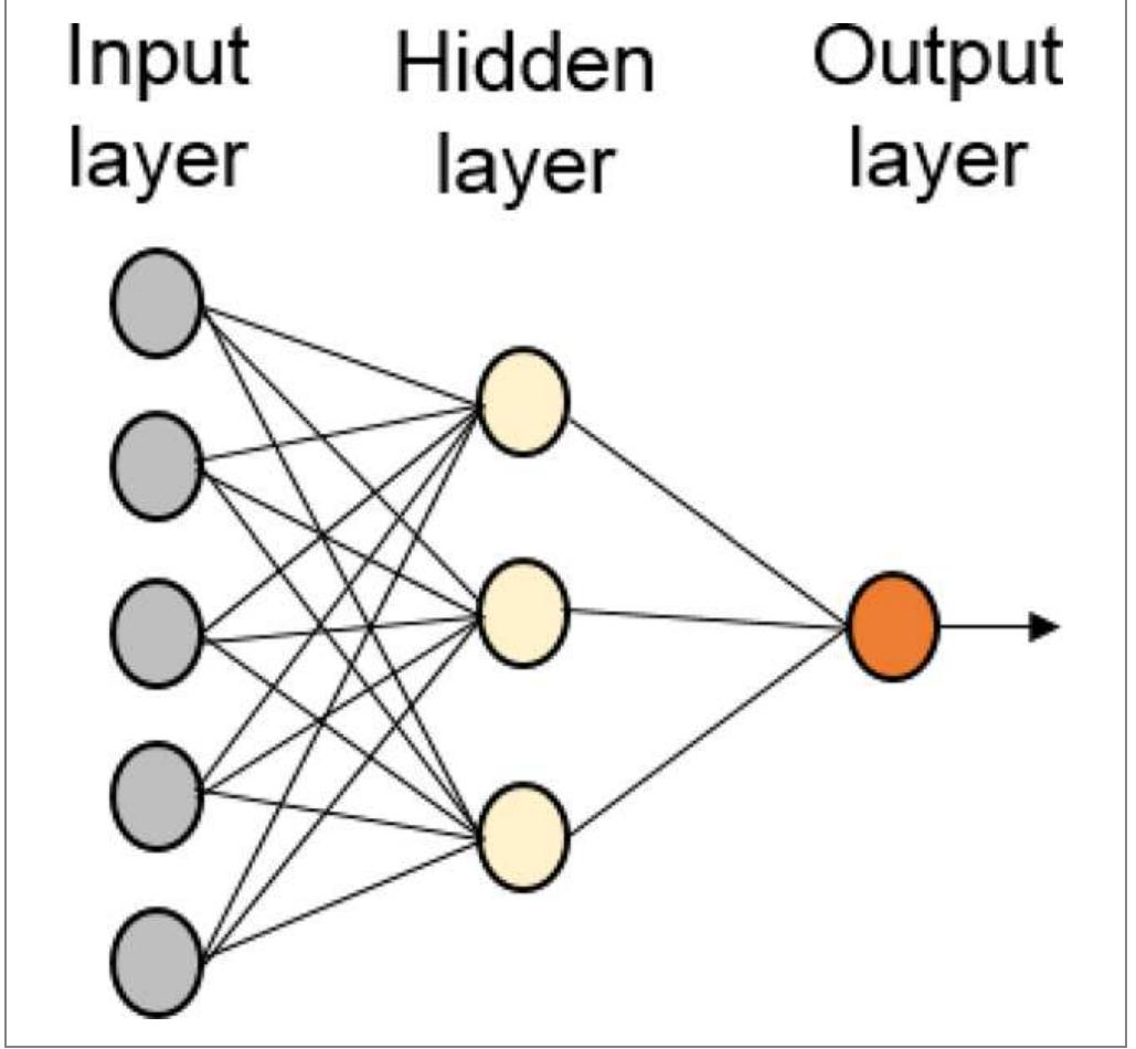 —schematic structure of a neural network with 5 input layers