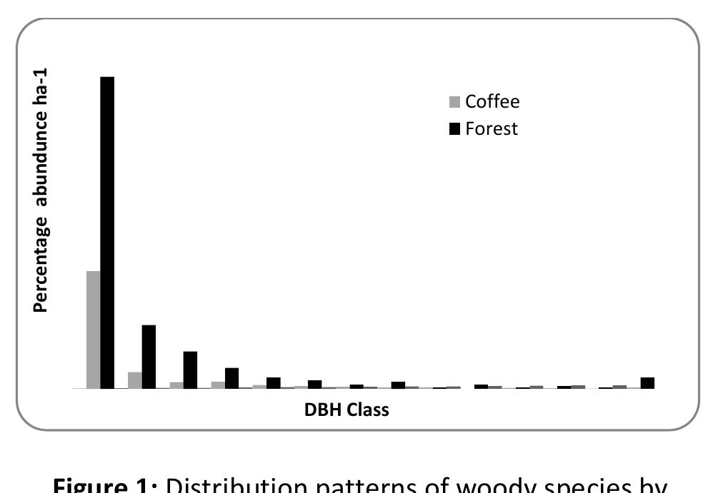 Dbh Pattern Figure 1 - from Effects of coffee management intensification