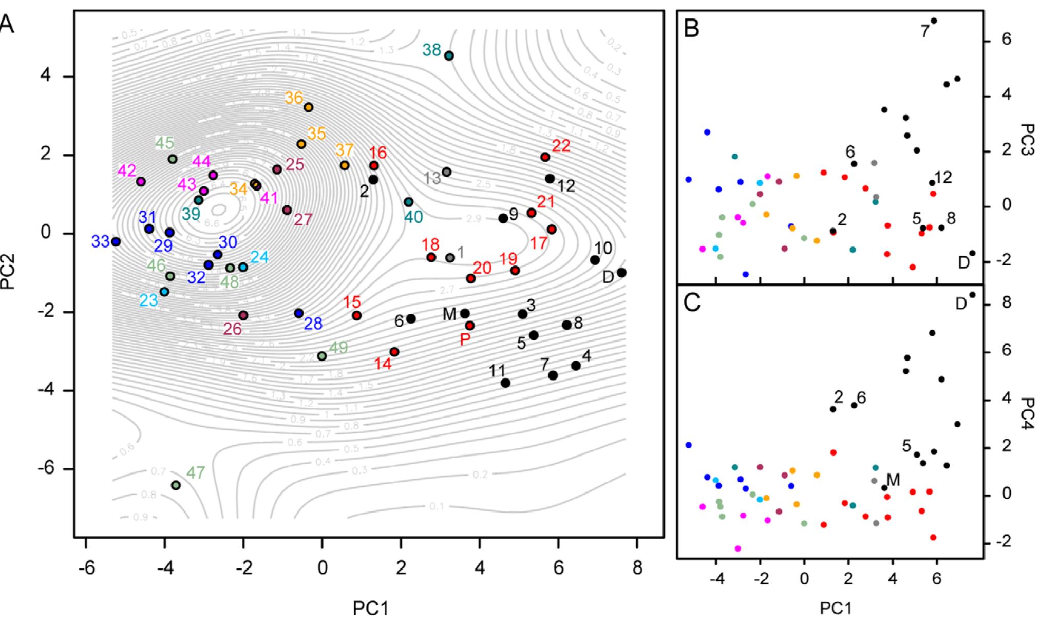 (PDF) Convergence and Divergence in the Evolution of Cat Skulls ...