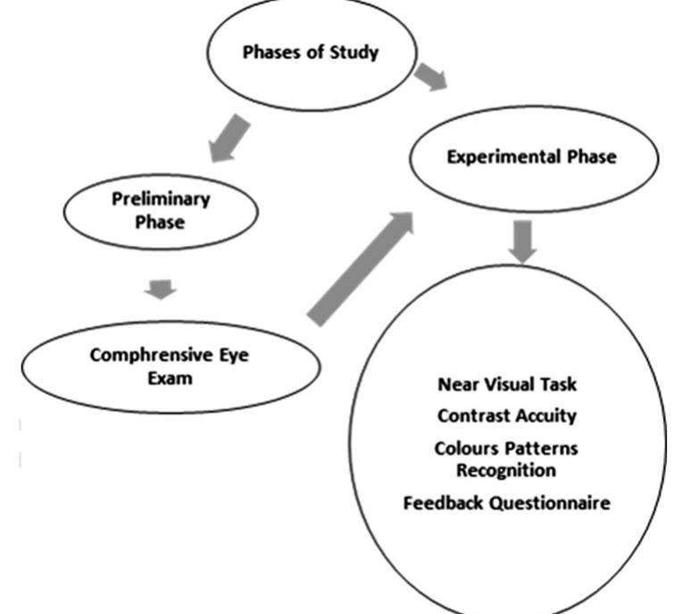Figure 1. Flowchart of experimental protocol. 