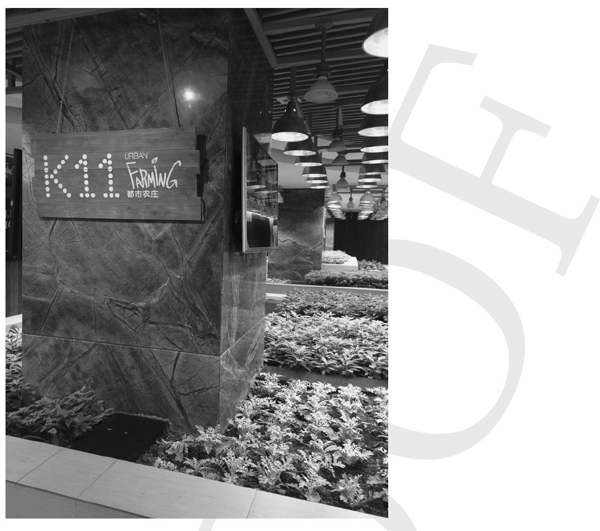 business model of so-called ‘museum retail’, a phrase credited to the founder of K11, Zheng Zhigang (Wang, 2018). For 2023, Zheng plans to expand this new retail model into nine cities in China, 1.e., Beijing, Shenzhen, Shenyang, Wuhan, Ningpo, Tianjing, Shanghai, Guanzhou and Hong Kong. If K11 brings forward a case about the rise of joyous consumption in China, the Shanghai Himalaya Museum presents a further advanced example of ‘museum retail’, which inserts itself into the tangled web of art and finance. 