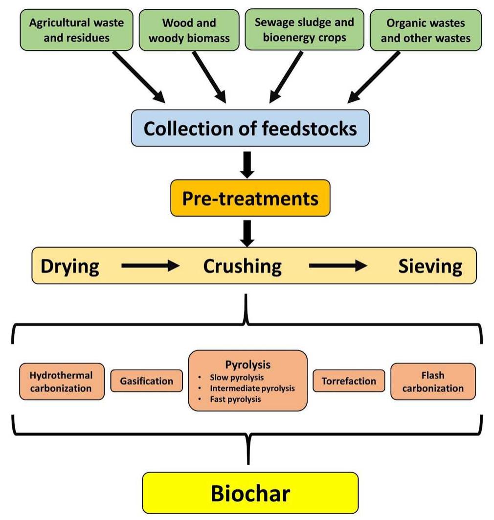 The flow chart diagram showing various steps (collection of