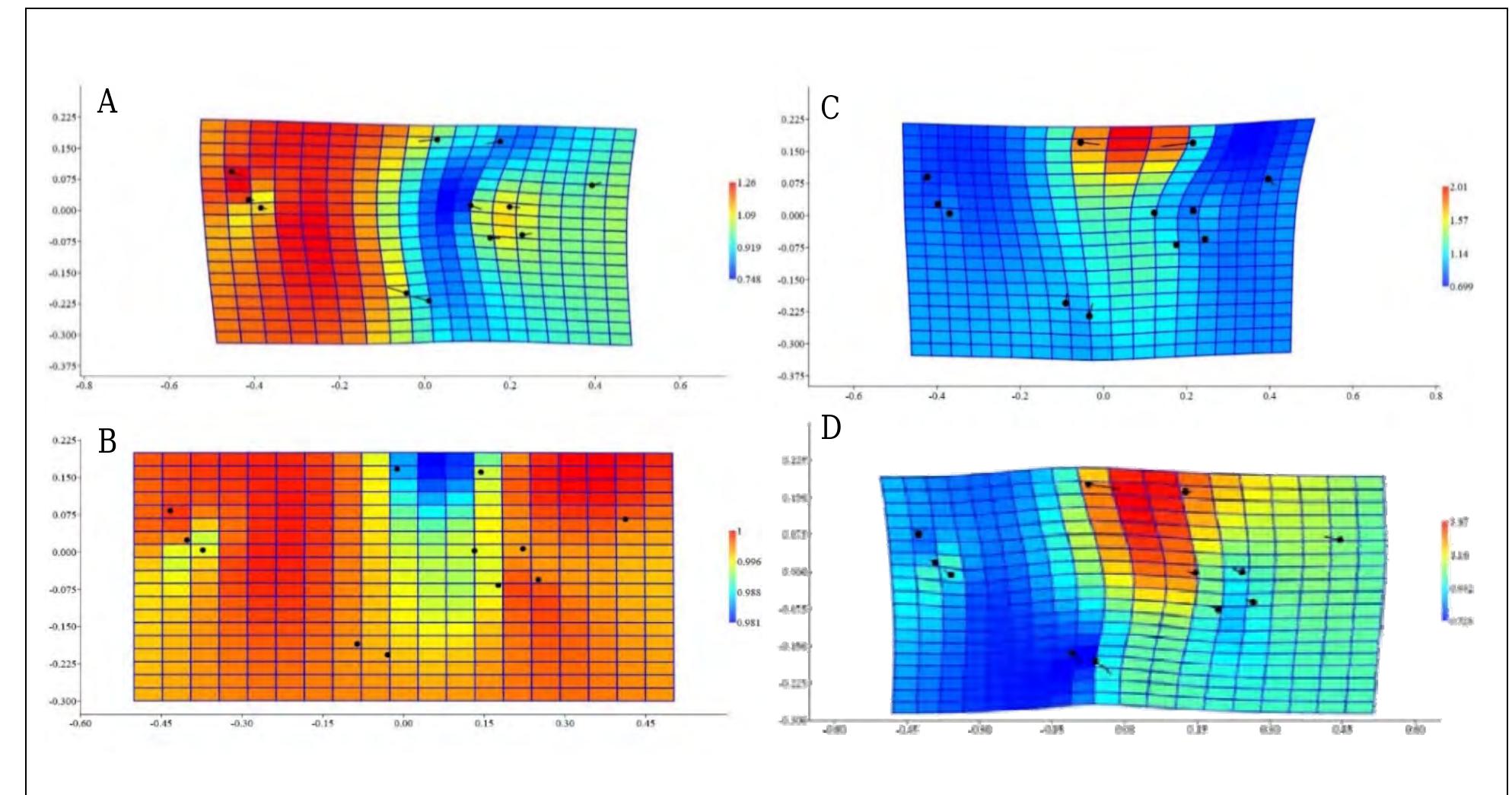 (PDF) Sexual dimorphism, asymmetry, and allometry in the shell shape of ...