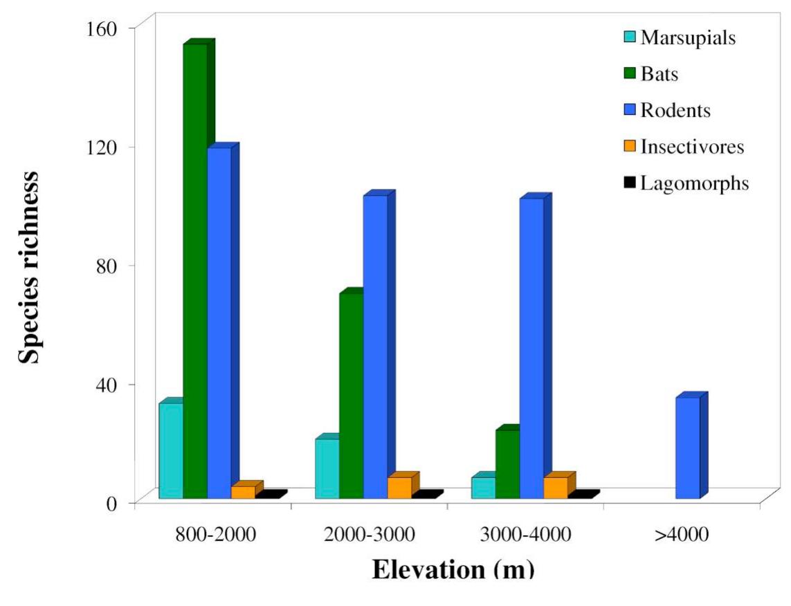(PDF) Small Mammal Diversity in the Tropical Andes: An Overview