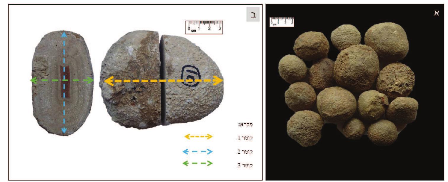 “DINIIA NOWA 9999 999 0929997 TAD 9999999 29 1199 Y 910999 OAV N99 99999 NANI N16 WYN DPS TINT = 2 50179 PNWA MMOD = 1 T0179 20999997 TID DW A497 YIN99 JOIN .2 0909 JOINED IN WY INI NIya A» 9AW ATV 32d WW NMA WNT AYIA - 3 DIP NON  INPIN? INHWY : DIY AN NWYA PYIA Dav AMVAINAS ANNA Japan 7499  qun) nypny Nw Iwaw Noy 2017 MwAAYWA py NapIa O ANN 912 Tayww IpPVvz NAPMNN FyanN AI pyd .(43 PN) DI OT DION MAW DYN py? Dawn Nns NAMI DSN DTN w79N AJann 12 Wan WN DO AWYD ,DNT VI7 MYWN>T DIN) YPIP ND9w3 3 MXN TY DIND NIN 9 7 DDN (YI) DWN WIE 