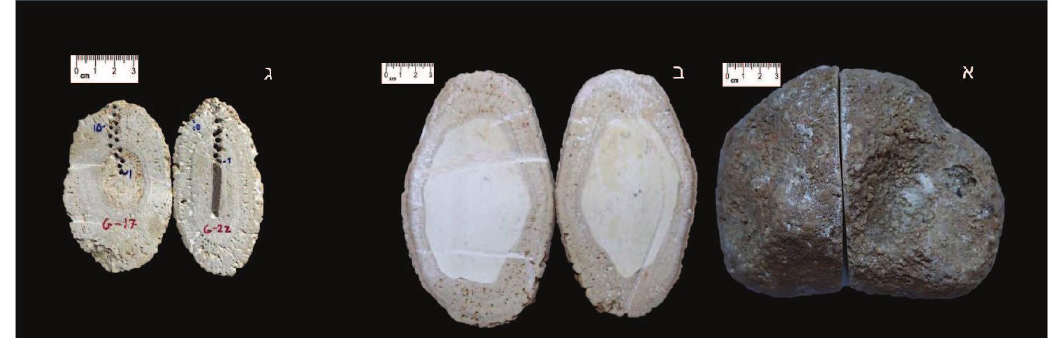 IWNA AVIA 04) 540 AIPWID .(29 999790 TOON) 7199192 AYAN AAV 19999 .3-N 1 8 VPN 20D ANI 99 79999 190 5-19 NIYWIIT JW 4193 ANN NOD HWY PYIIN 19/0 11-19 NIYIT NP4T WI WY NVI 99999 .d .Donahue 1969 9w A»IDIA>VA 995 (concretions) 049917 NYPD Pa “TNN 19799 SW 29NNNII22) DIST? Nt MYYINA IWS DONIDPD .p99y? DIOIDITN  INPIN? INPIWY : IDPS N99 