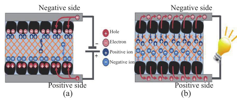 Scs Module (a) module model. (b) electrical model of an sc in