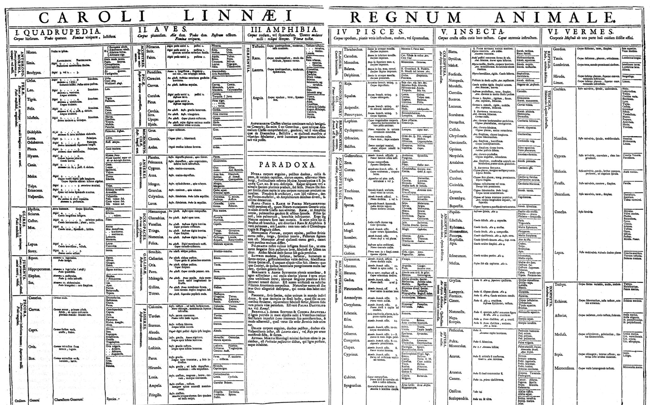 FIGURE 7.5 Table of the animal kingdom (Regnum Animale) in Carl Linnaeus, Systema Naturae (1735). Photograph via Wikimedia Commons. Public domain. 