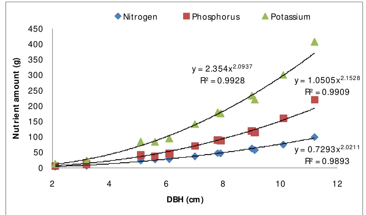 Allometric relationship between diameter at breast height