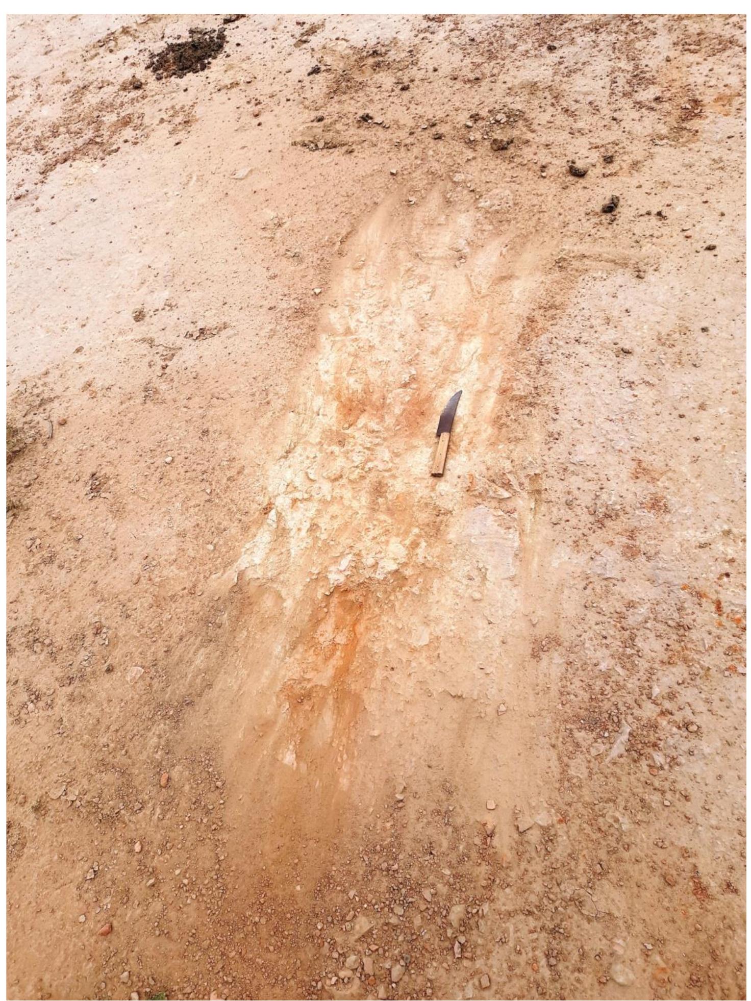 Pl. 5. Ancient bricks, western depression, Birjapur. 