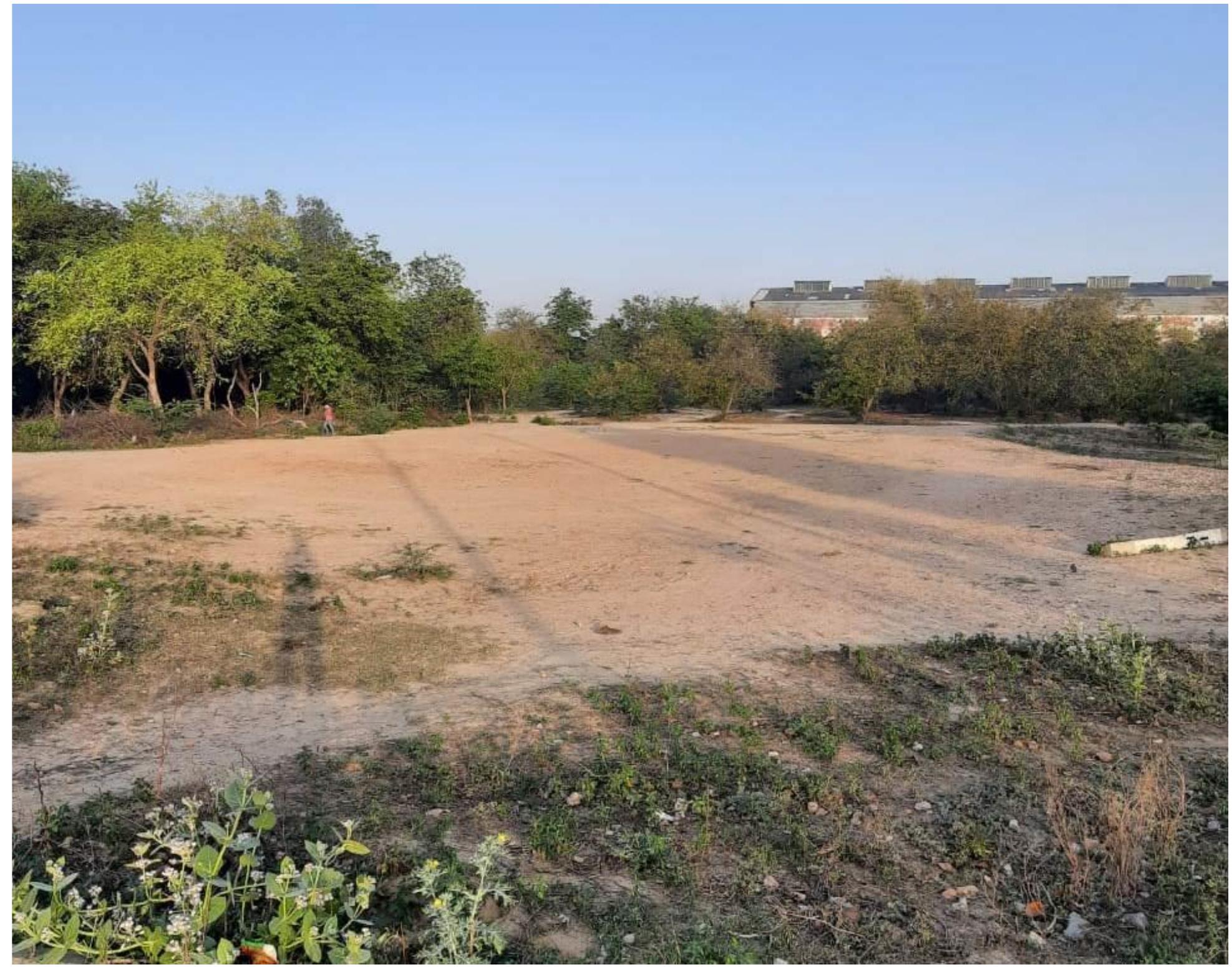 Pl. 9. General view of new site discovered at Narhauli. 